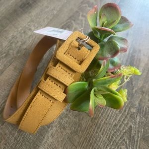 Rachel Parcell Tan Lion leather belt